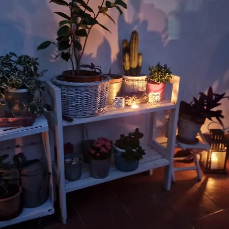 Apartman Mansarda Luna